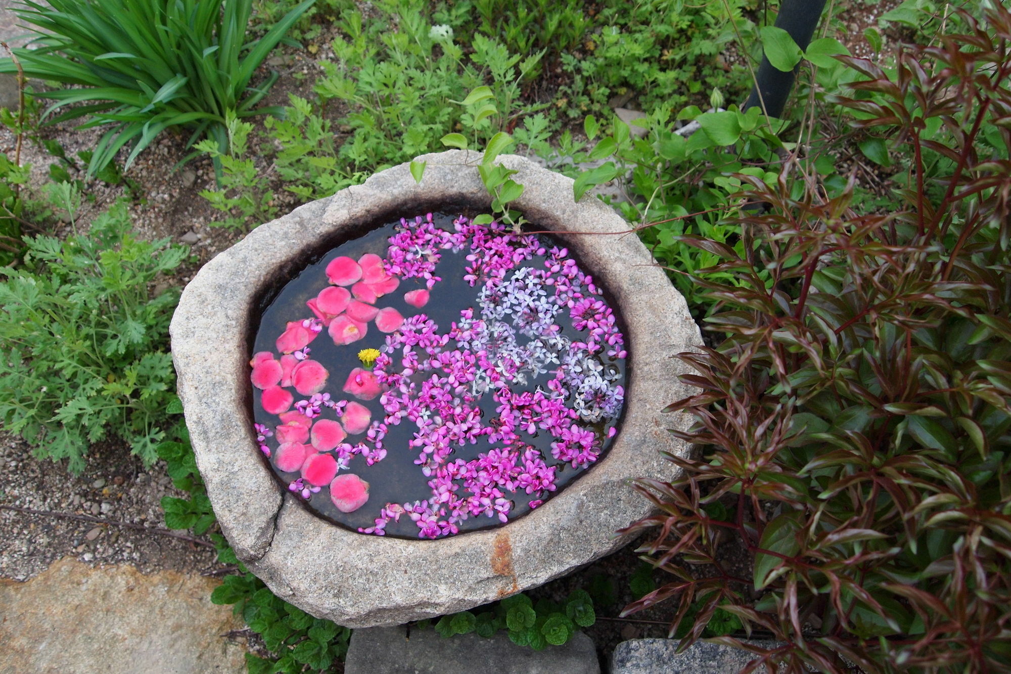 Floral Space Hanok Guesthouse Gyeongju Exterior foto